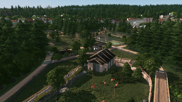 (Removed) Cities: Skylines - Country Road Radio Steam Key Global