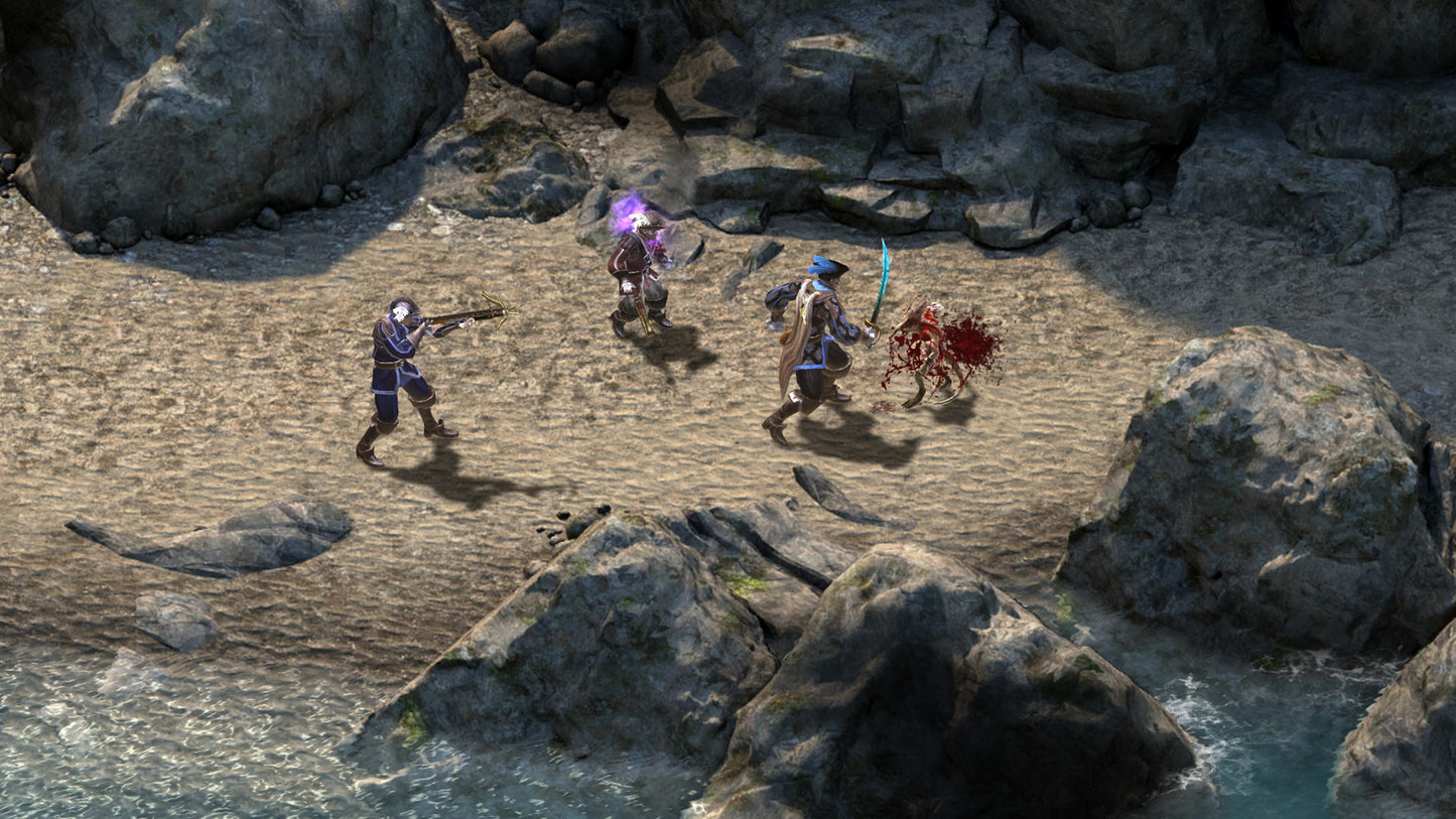 (Removed) Pillars of Eternity - Definitive Edition Steam Key