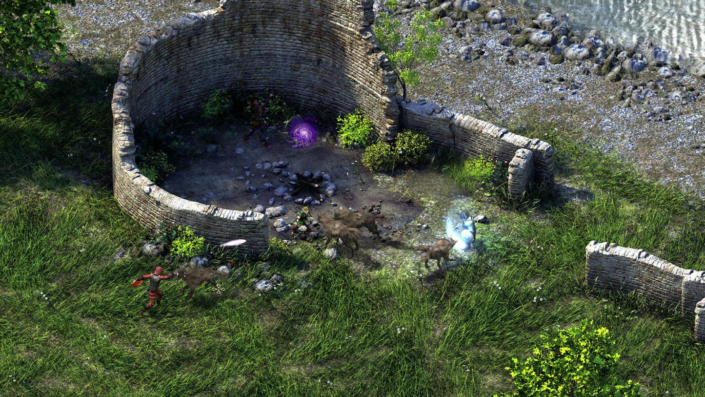 (Removed) Pillars of Eternity - Definitive Edition Steam Key