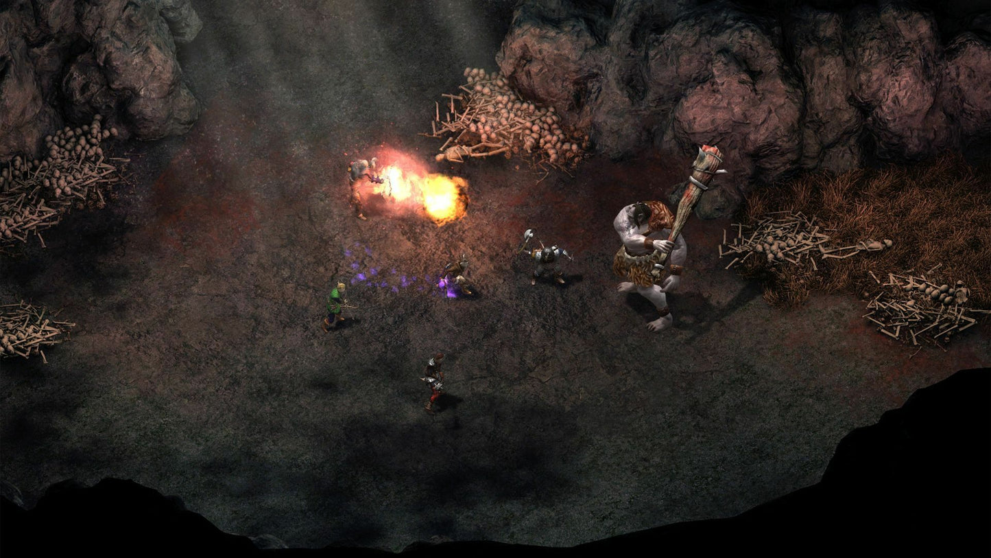 (Removed) Pillars of Eternity - Definitive Edition Steam Key