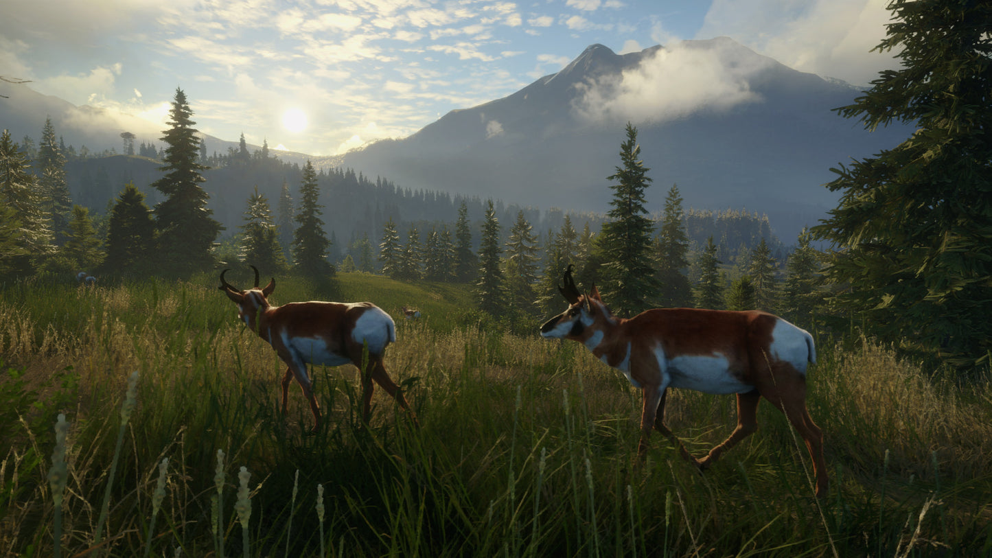 theHunter: Call of the Wild™ - Silver Ridge Peaks Steam Key Global