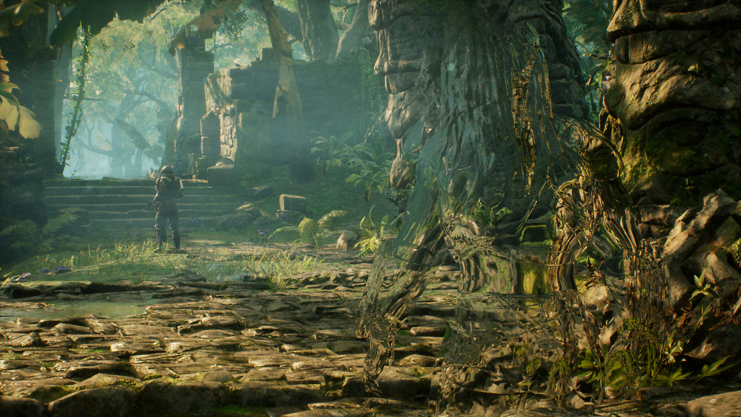 (Removed) Predator: Hunting Grounds Steam Key Global