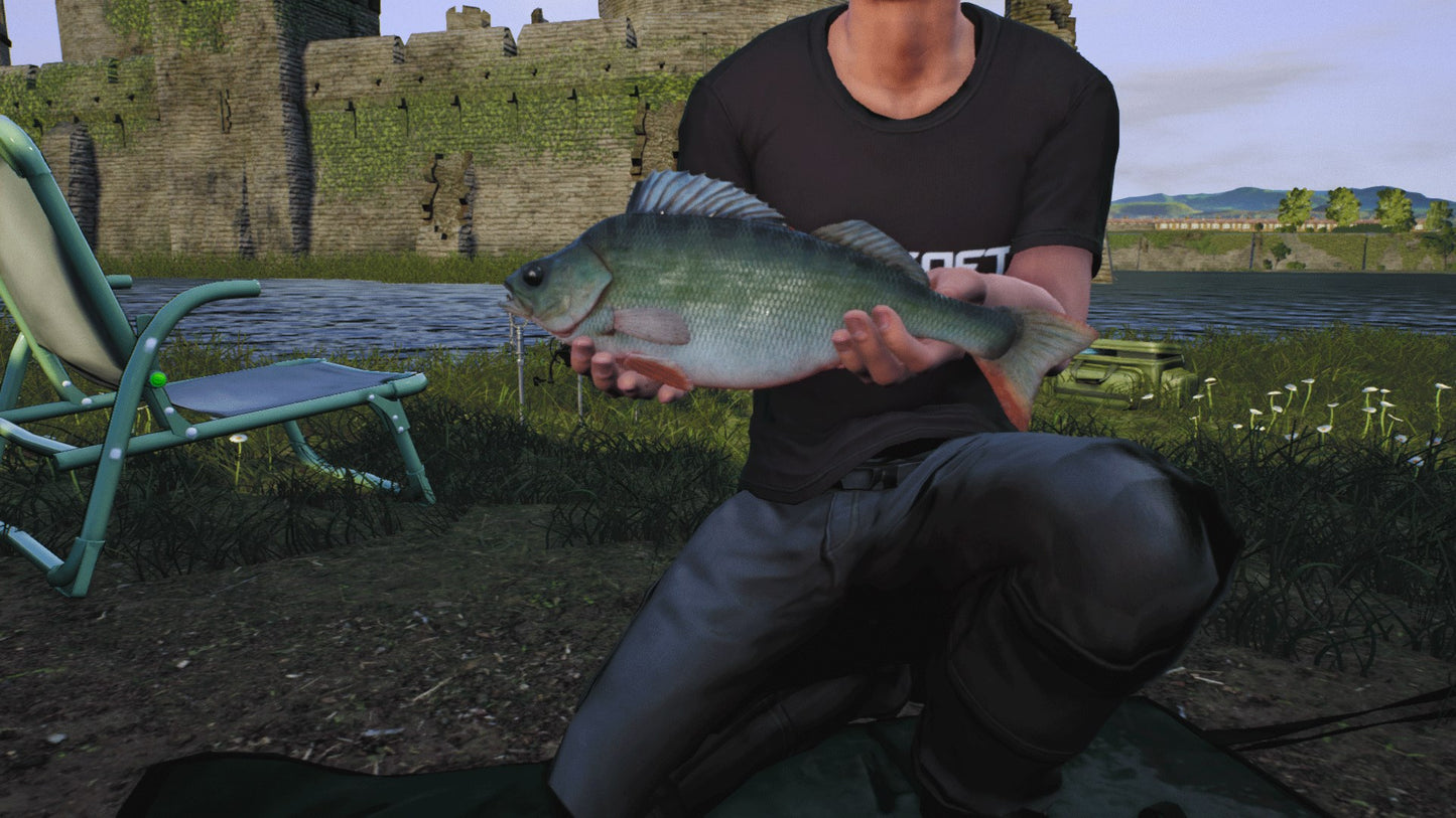 Euro Fishing: Ultimate Edition Steam Key Global