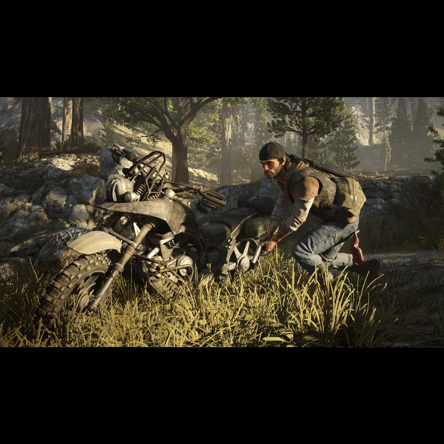 Days Gone Steam Key Global