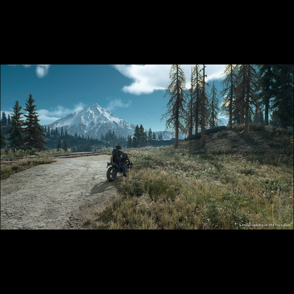 Days Gone Steam Key Global