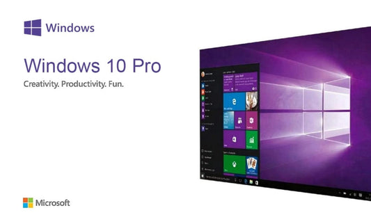 Microsoft Windows 10 Professional