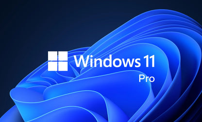 Microsoft Windows 11 Professional