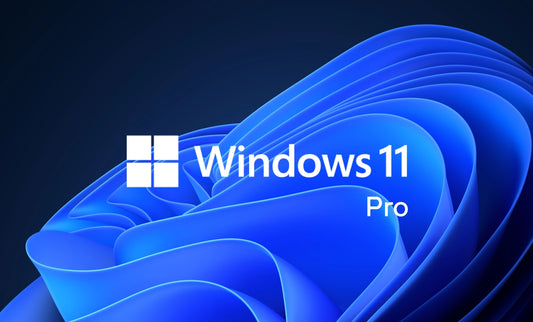 Microsoft Windows 11 Professional