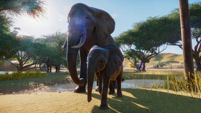 Planet Zoo Steam Key LATAM