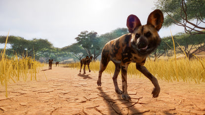 Planet Zoo Steam Key LATAM