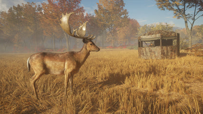 theHunter: Call of the Wild™ - Tents & Ground Blinds Steam Key Global