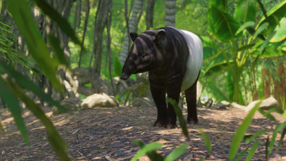 Planet Zoo: Southeast Asia Animal Pack Steam Key Global