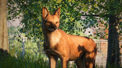 Planet Zoo: Southeast Asia Animal Pack Steam Key Global