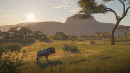 theHunter: Call of the Wild™ - Vurhonga Savanna Steam Key Global