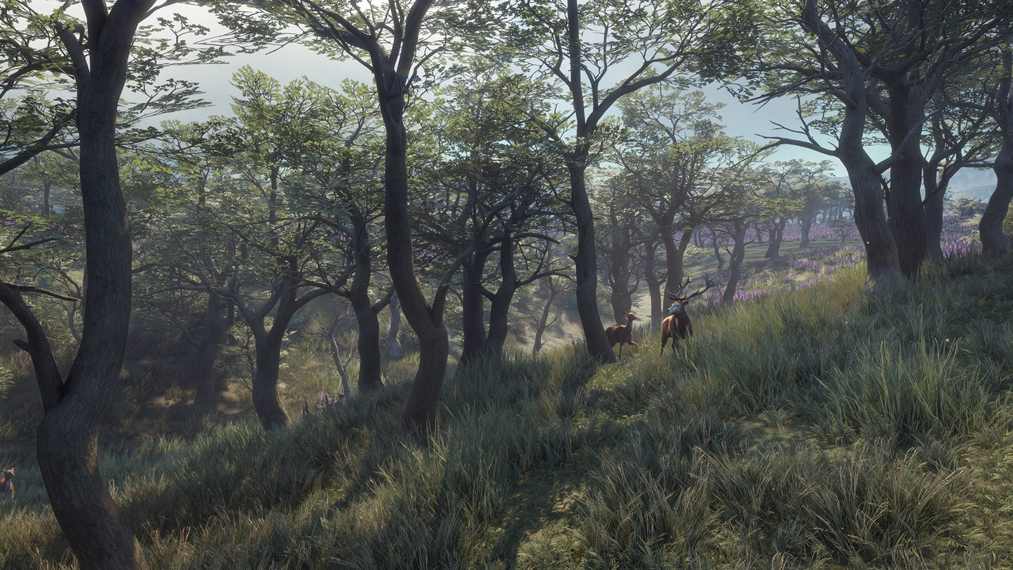 theHunter: Call of the Wild™ - Parque Fernando Steam Key Global