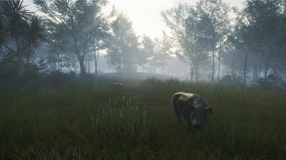 theHunter: Call of the Wild™ - Te Awaroa National Park Steam Key Global