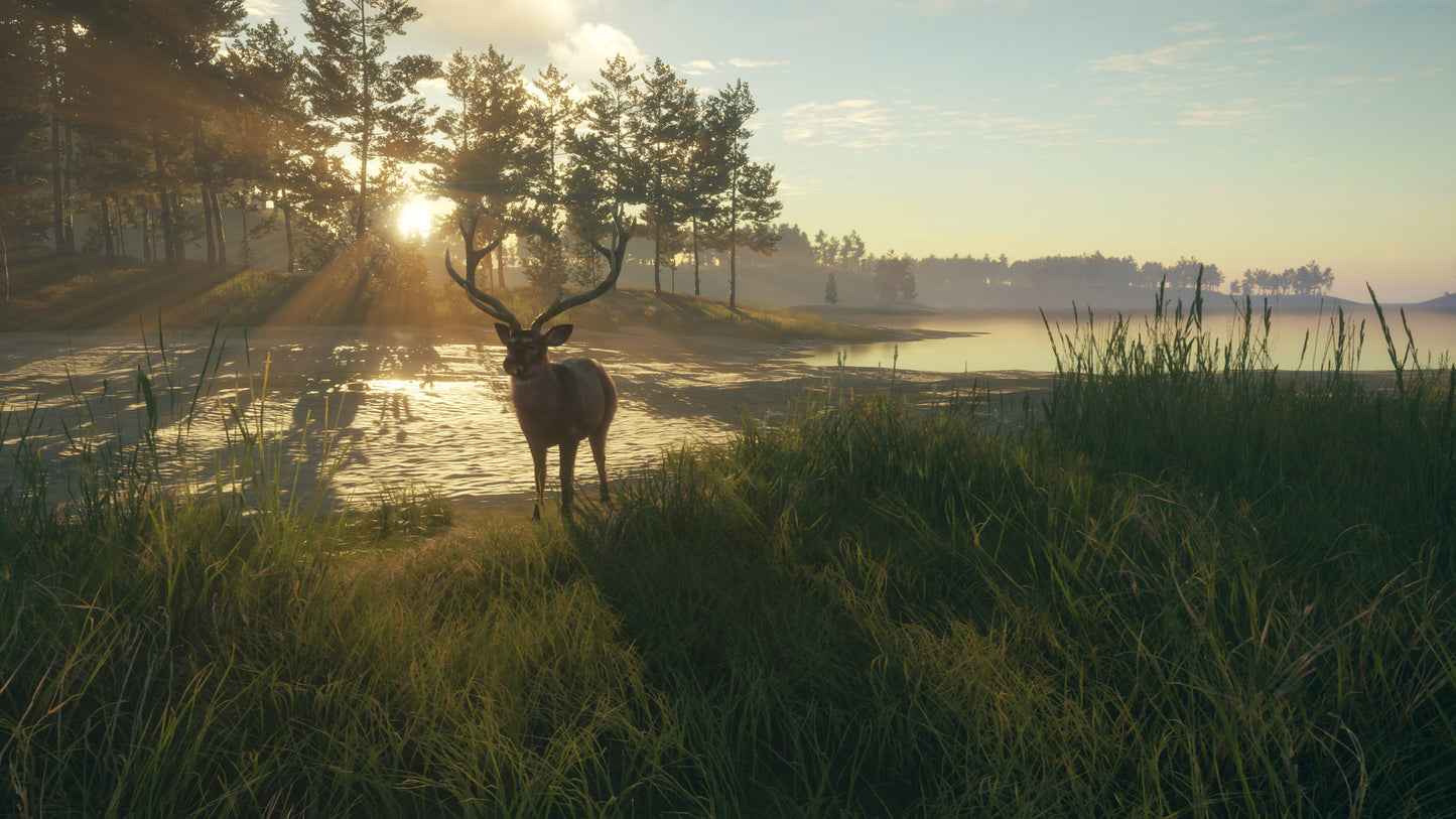 theHunter: Call of the Wild™ - Te Awaroa National Park Steam Key Global