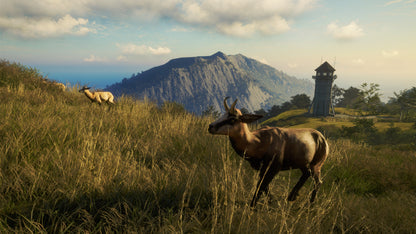 theHunter: Call of the Wild™ - Te Awaroa National Park Steam Key Global