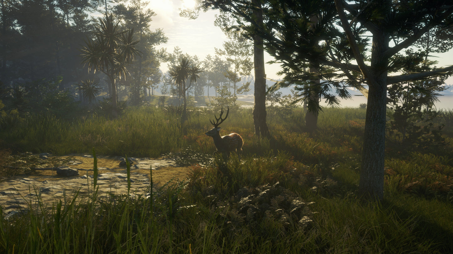 theHunter: Call of the Wild™ - Te Awaroa National Park Steam Key Global