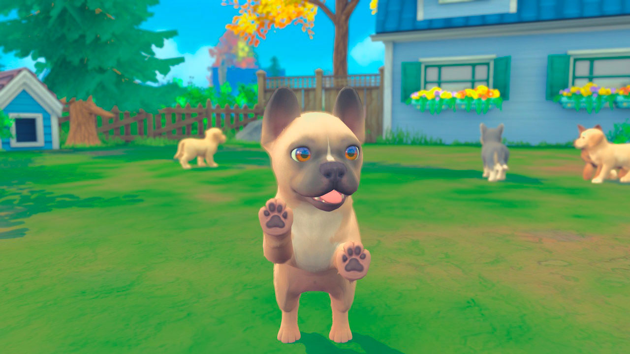 My Universe - Puppies & Kittens Steam Key Global