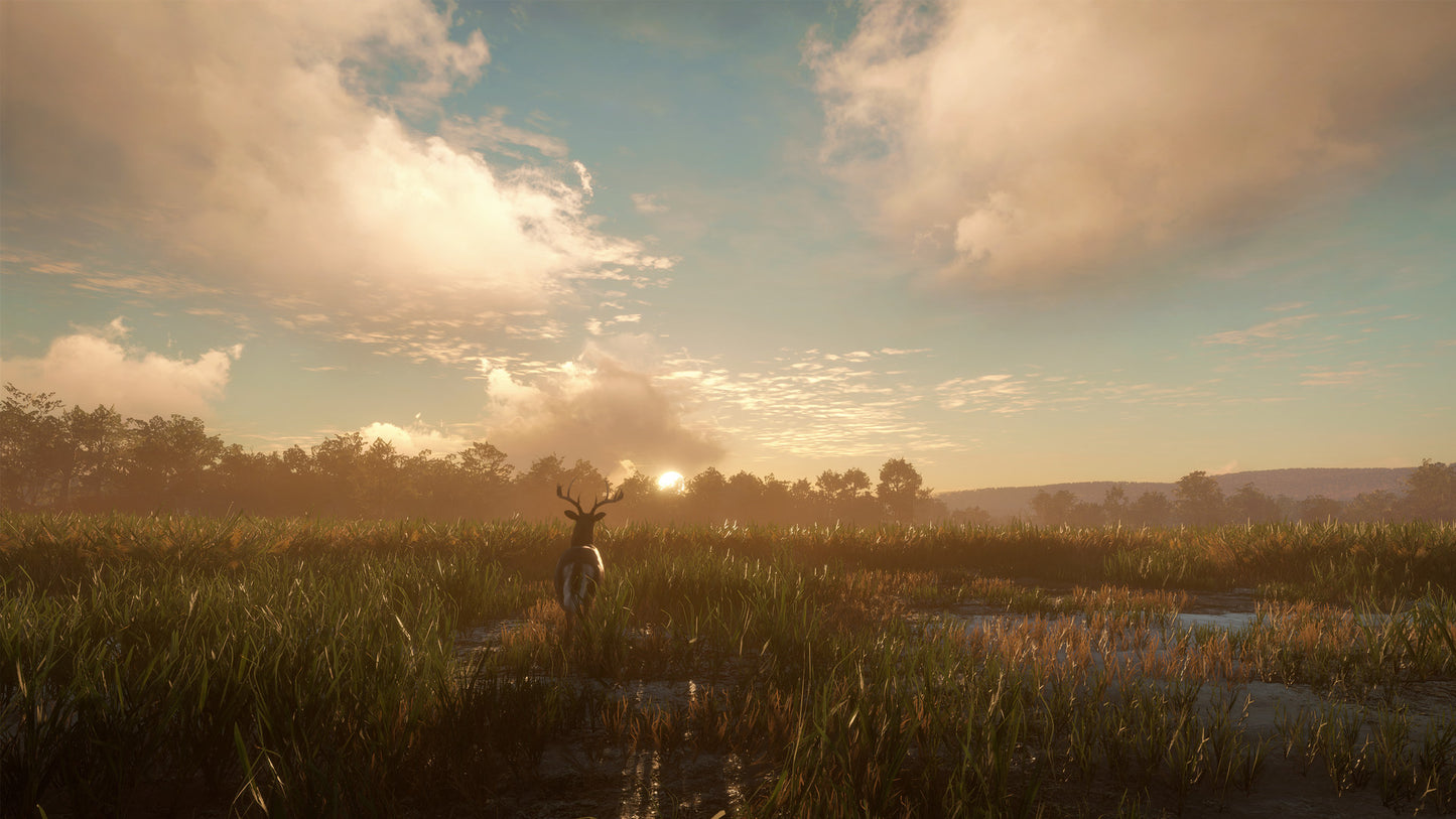 theHunter: Call of the Wild™ - Mississippi Acres Preserve Steam Key Global