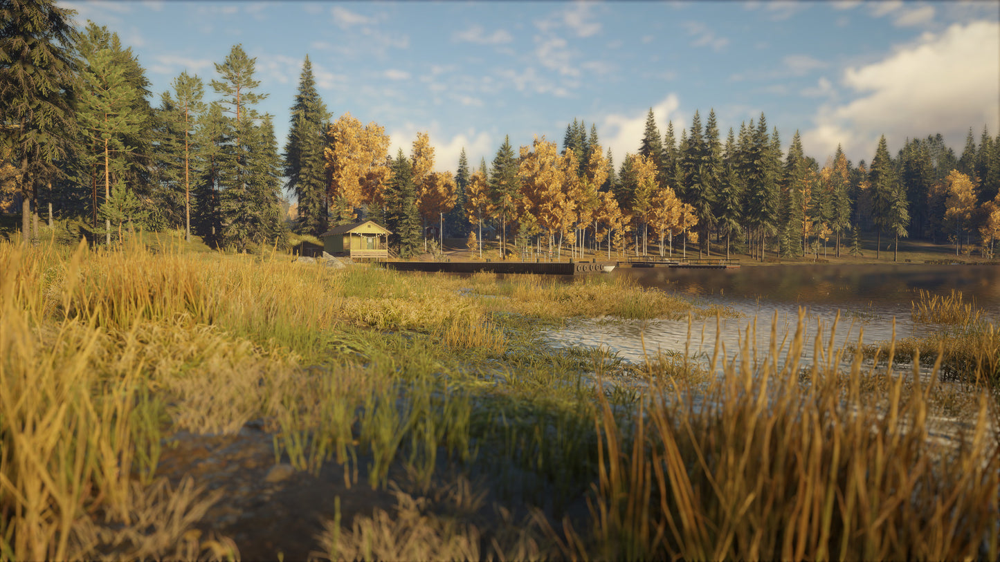 theHunter: Call of the Wild™ - Revontuli Coast Steam Key Global