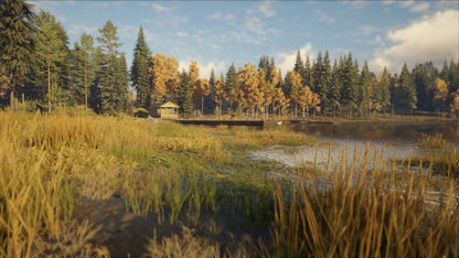 theHunter: Call of the Wild™ - Revontuli Coast Steam Key Global