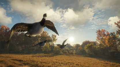 theHunter: Call of the Wild™ - Wild Goose Chase Gear Steam Key Global