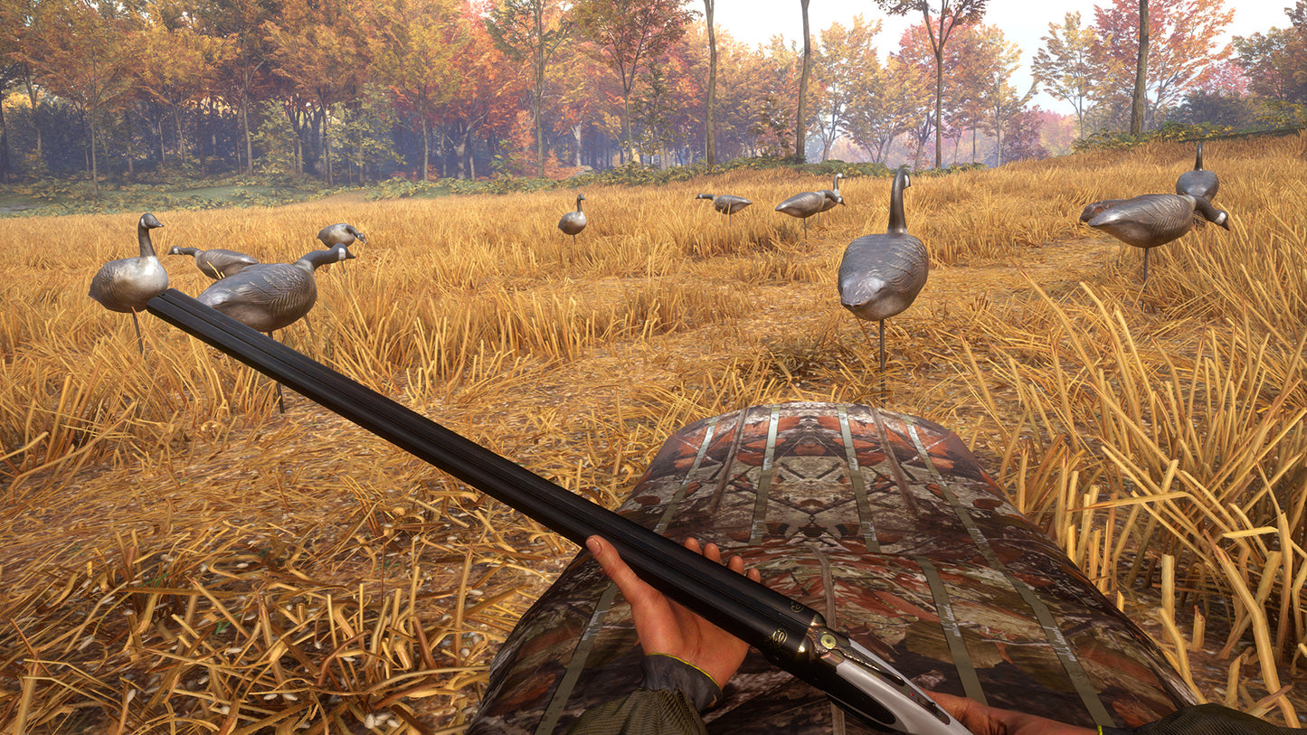 theHunter: Call of the Wild™ - Wild Goose Chase Gear Steam Key Global