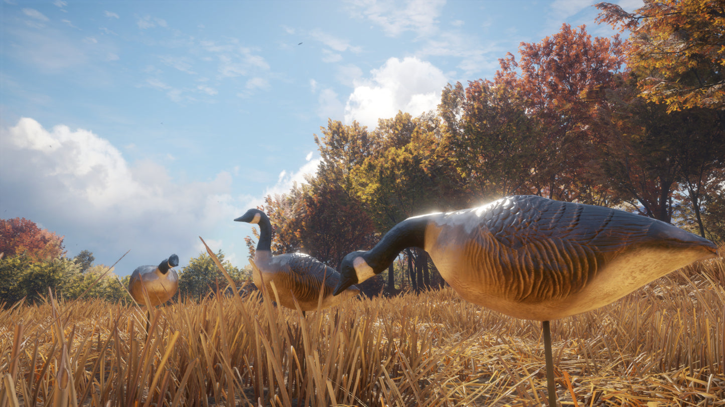 theHunter: Call of the Wild™ - Wild Goose Chase Gear Steam Key Global