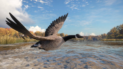 theHunter: Call of the Wild™ - Wild Goose Chase Gear Steam Key Global