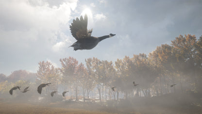 theHunter: Call of the Wild™ - Wild Goose Chase Gear Steam Key Global