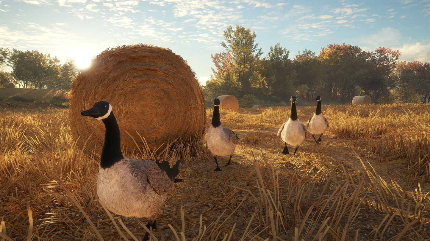 theHunter: Call of the Wild™ - Wild Goose Chase Gear Steam Key Global