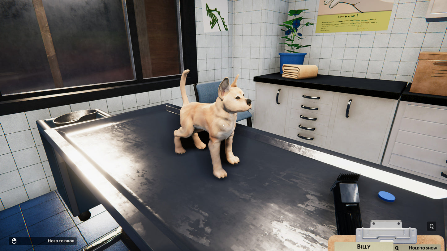 (Removed) NOT IN USE Animal Shelter - Puppies & Kittens DLC (PlayWay SA) Steam Key Global