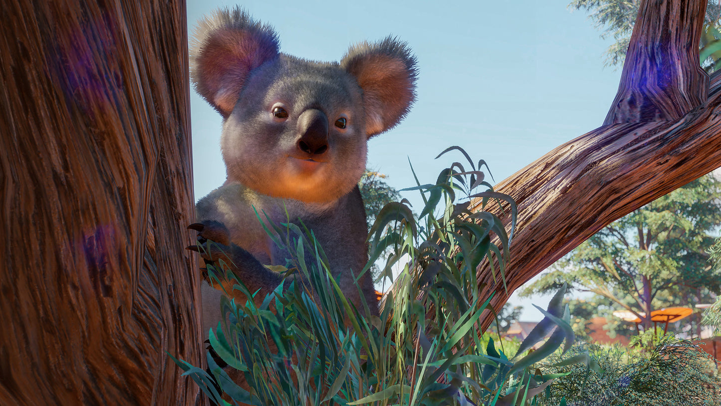 Planet Zoo: Australia Pack Steam Key Global