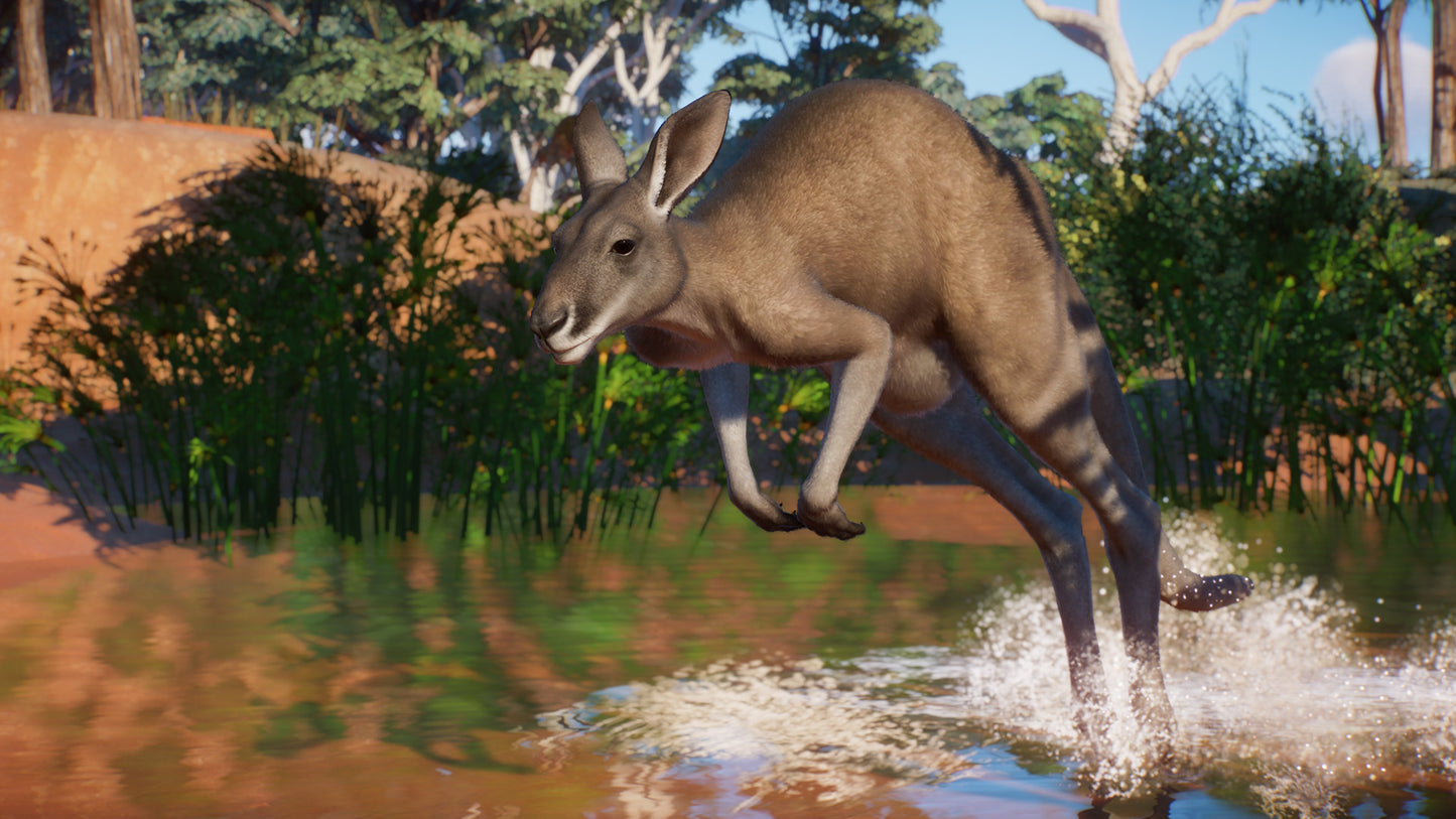 Planet Zoo: Australia Pack Steam Key Global