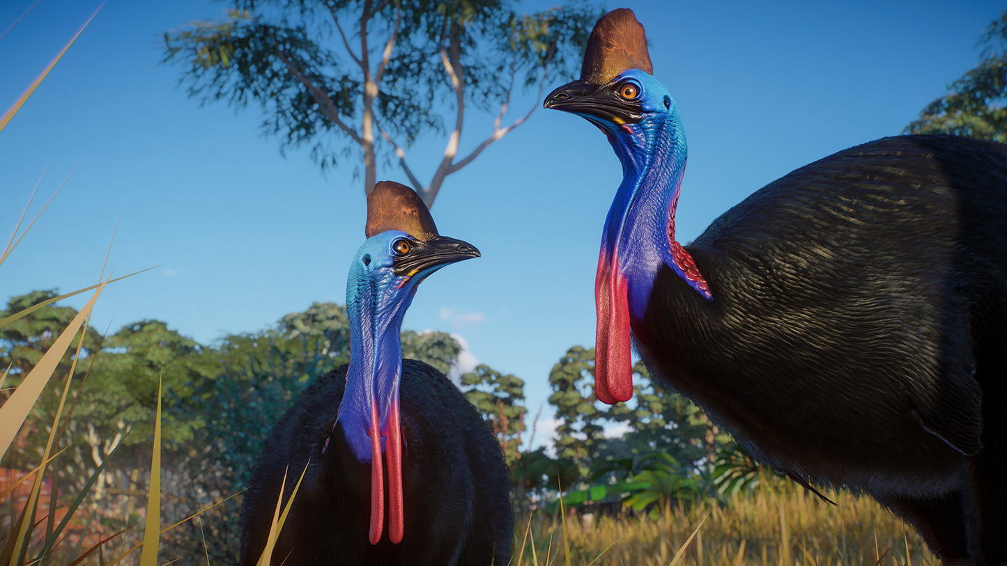 Planet Zoo: Australia Pack Steam Key Global