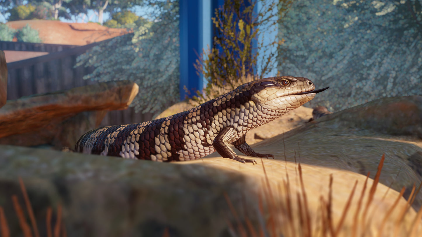 Planet Zoo: Australia Pack Steam Key Global