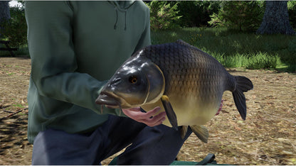 Fishing Sim World®: Pro Tour – Giant Carp Pack Steam Key Global