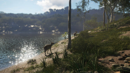 theHunter: Call of the Wild™ - Emerald Coast Australia Steam Key Global