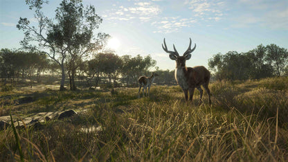 theHunter: Call of the Wild™ - Emerald Coast Australia Steam Key Global