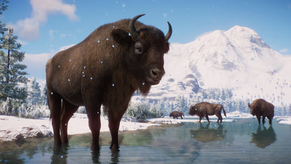 Planet Zoo: Eurasia Animal Pack Steam Key Global