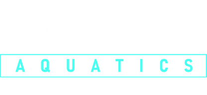 Stellaris: Aquatics Species Pack Steam Key Global