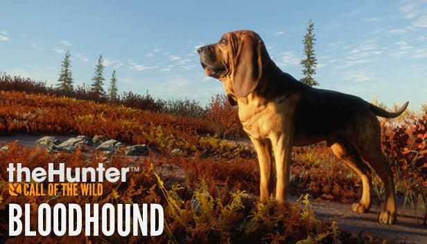 theHunter: Call of the Wild™ - Bloodhound Steam Key Global