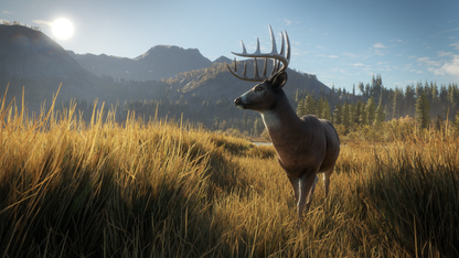 theHunter: Call of the Wild™ Steam Key Global