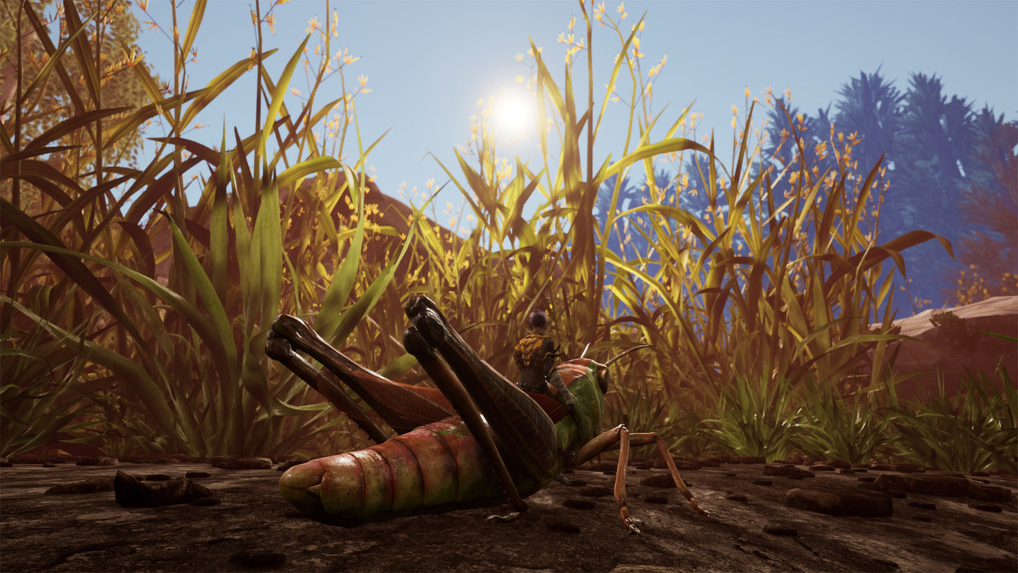 Smalland: Survive the Wilds Steam Key Global