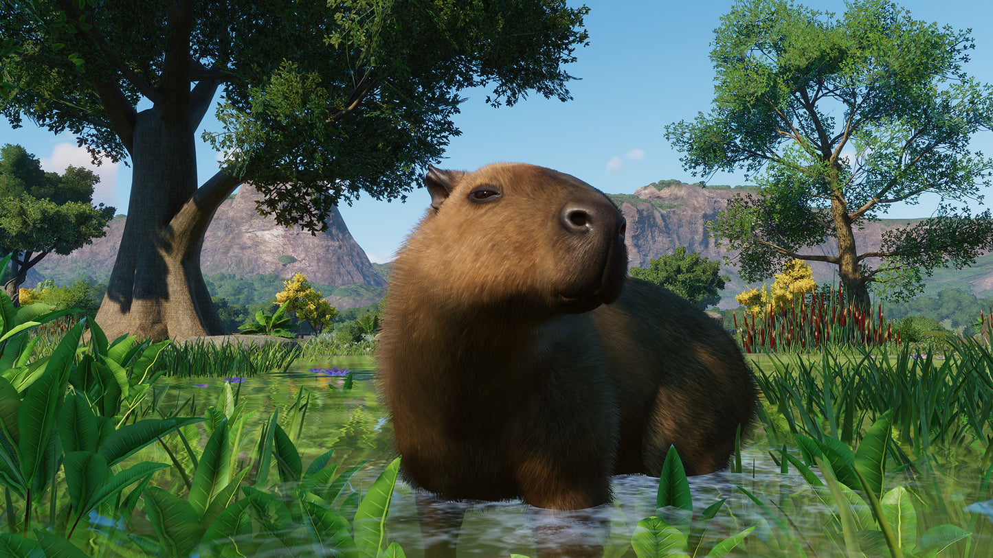 Planet Zoo: Wetlands Animal Pack Steam Key Global