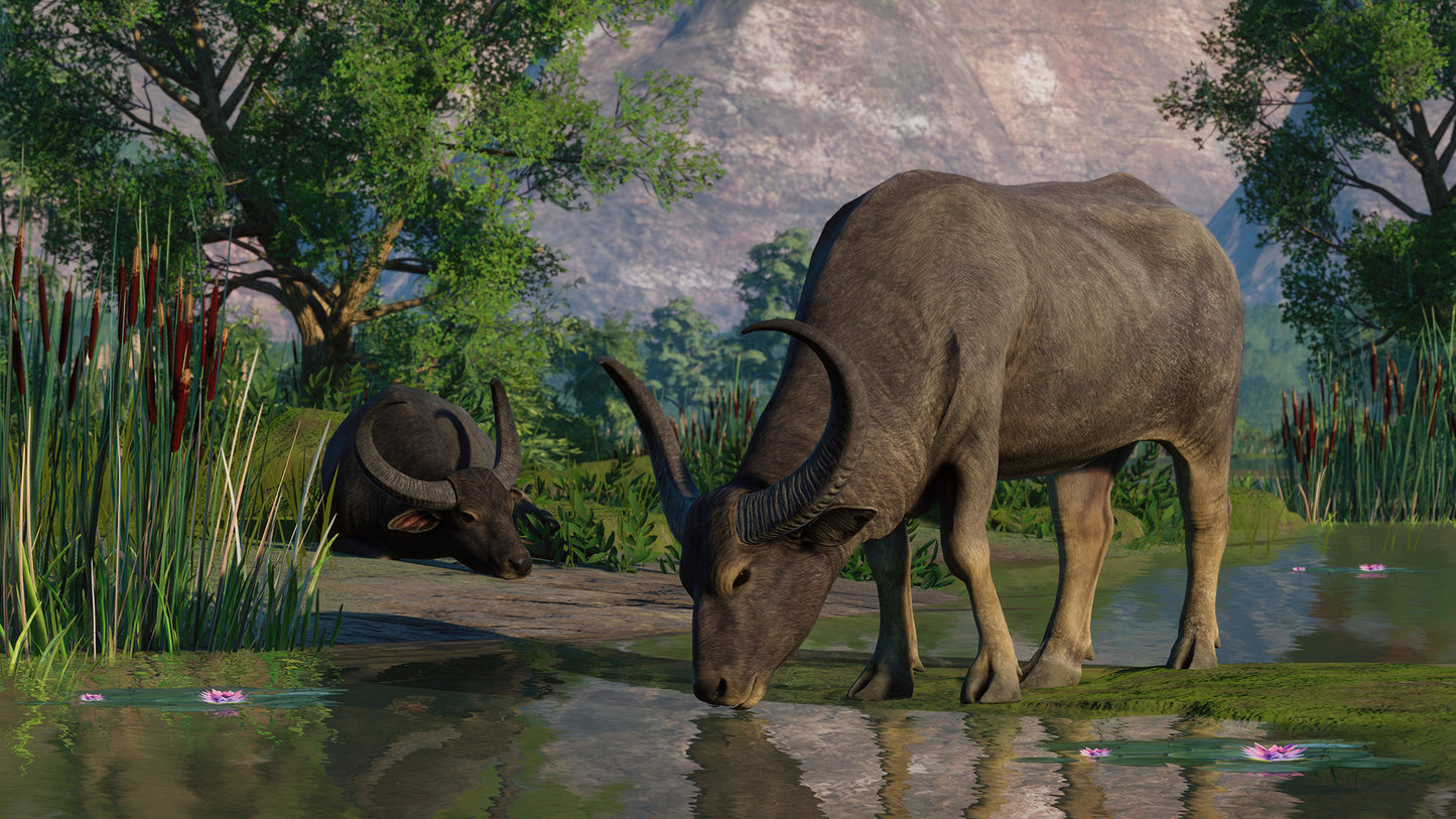 Planet Zoo: Wetlands Animal Pack Steam Key Global