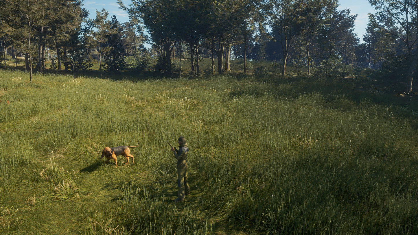 theHunter: Call of the Wild™ - Bloodhound Steam Key Global