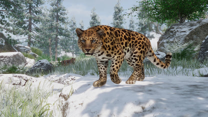 Planet Zoo: Conservation Pack Steam Key Global